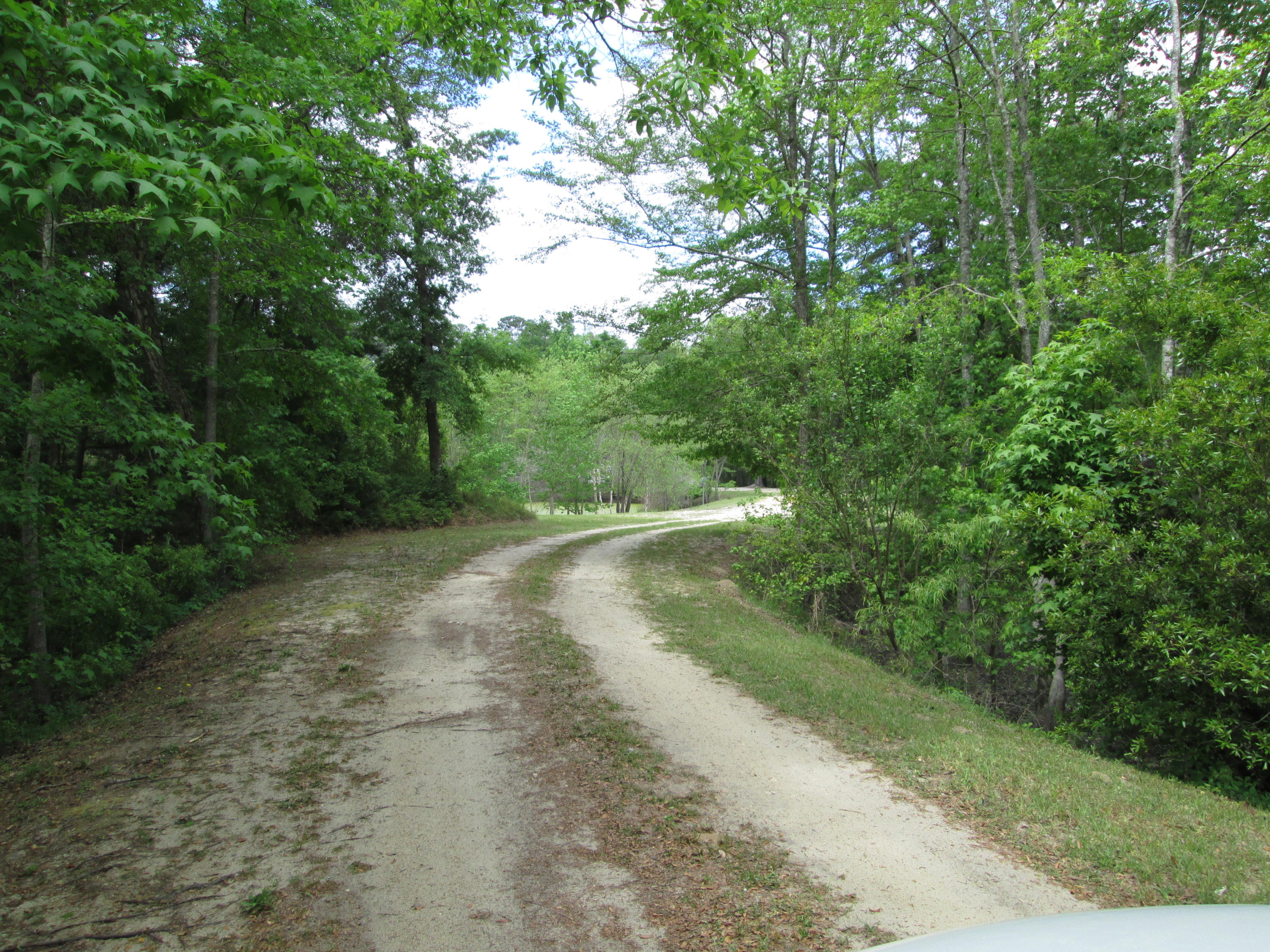 7209 Parkers Ferry Road Adams Run, SC 29426 - Photo 1 of 5 IMG_3017