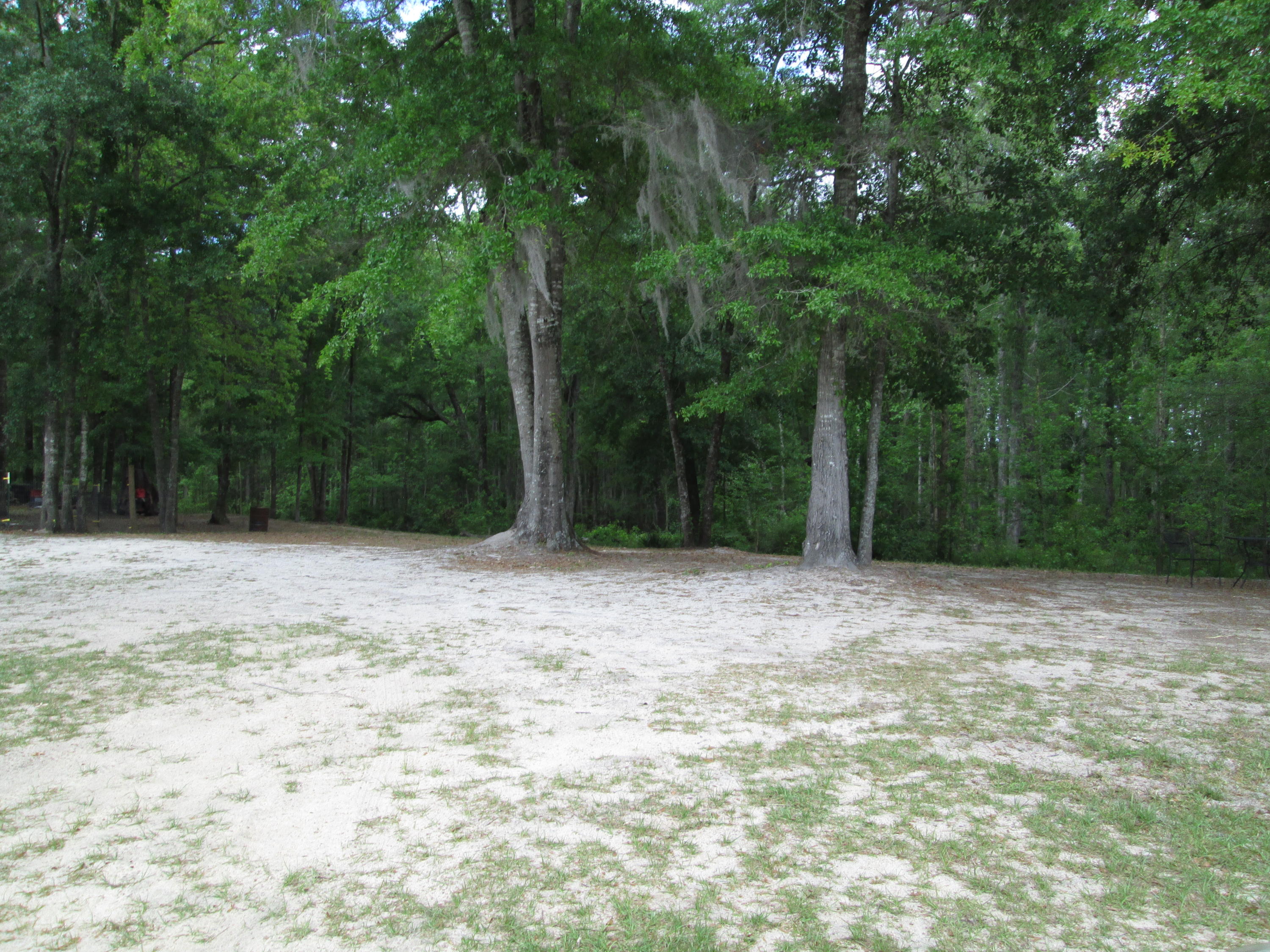 7209 Parkers Ferry Road Adams Run, SC 29426 - Photo 2 of 5 IMG_3018