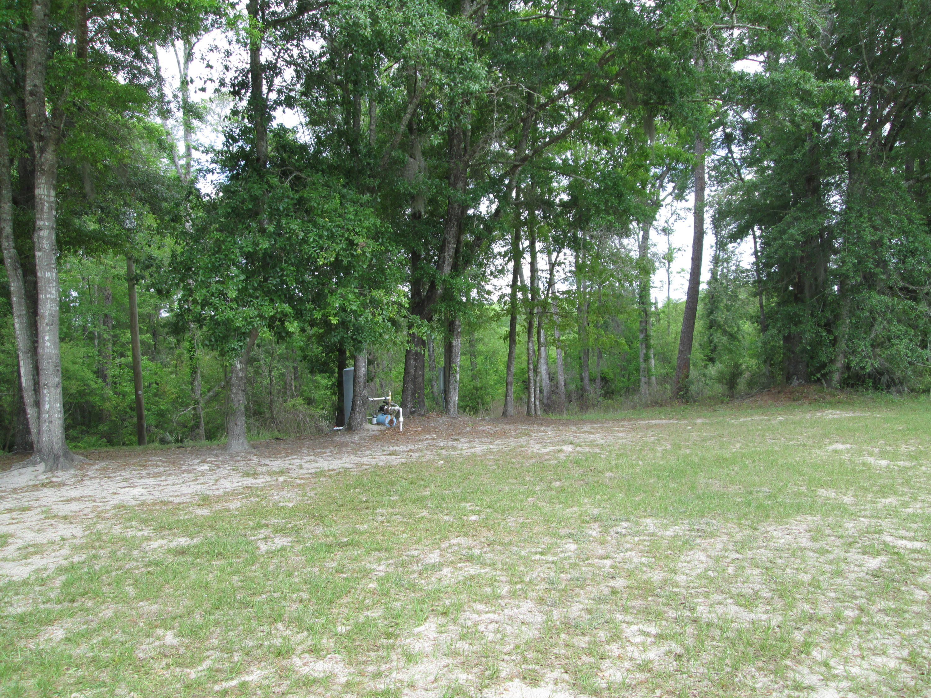 7209 Parkers Ferry Road Adams Run, SC 29426 - Photo 3 of 5 IMG_3019