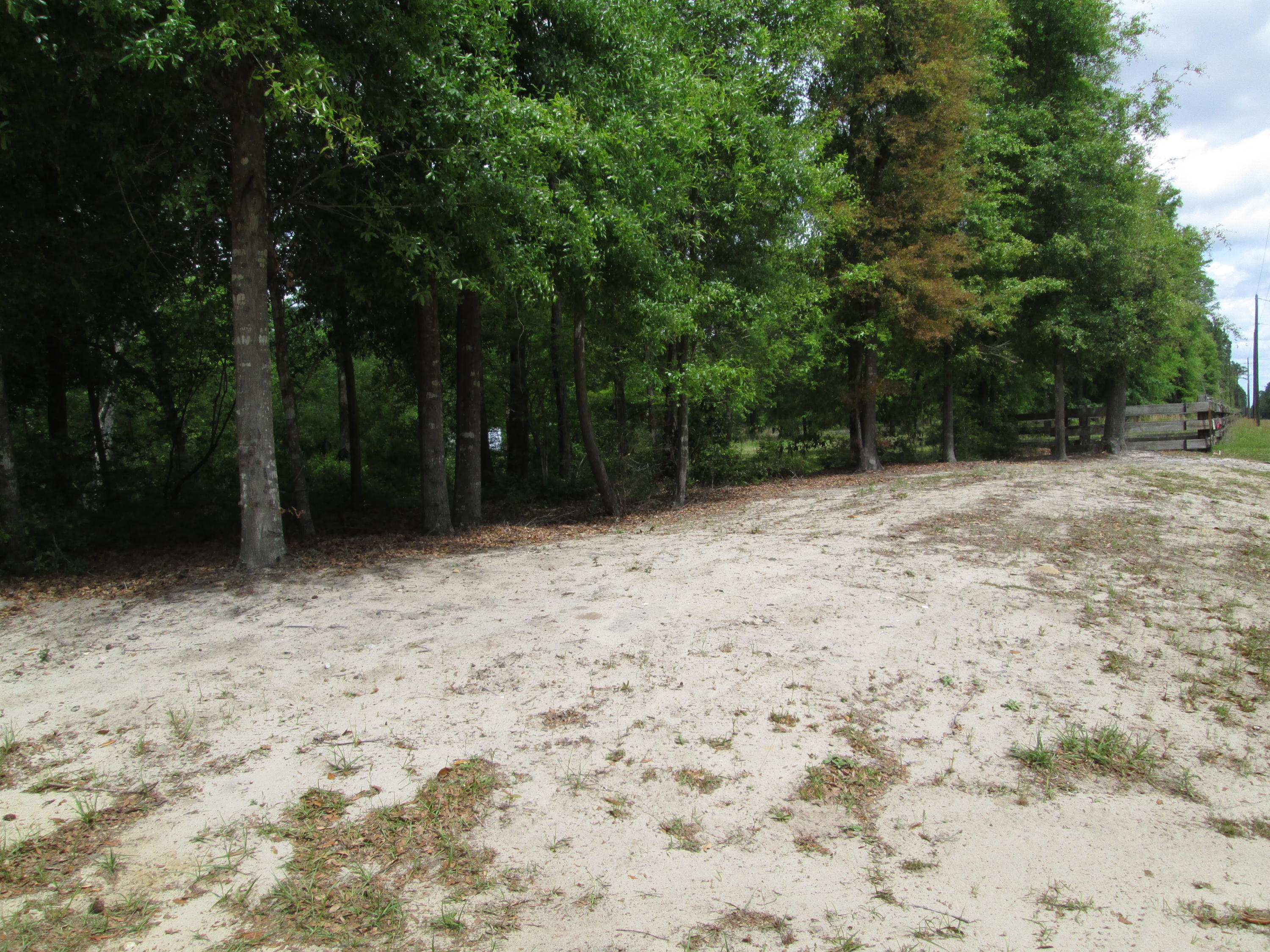 7209 Parkers Ferry Road Adams Run, SC 29426 - Photo 5 of 5 IMG_3021