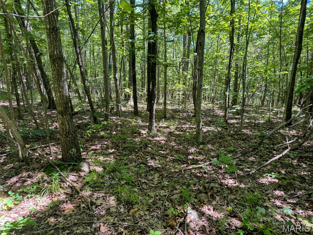2 King School Road Ironton, MO 63650 - Photo 22 of 28