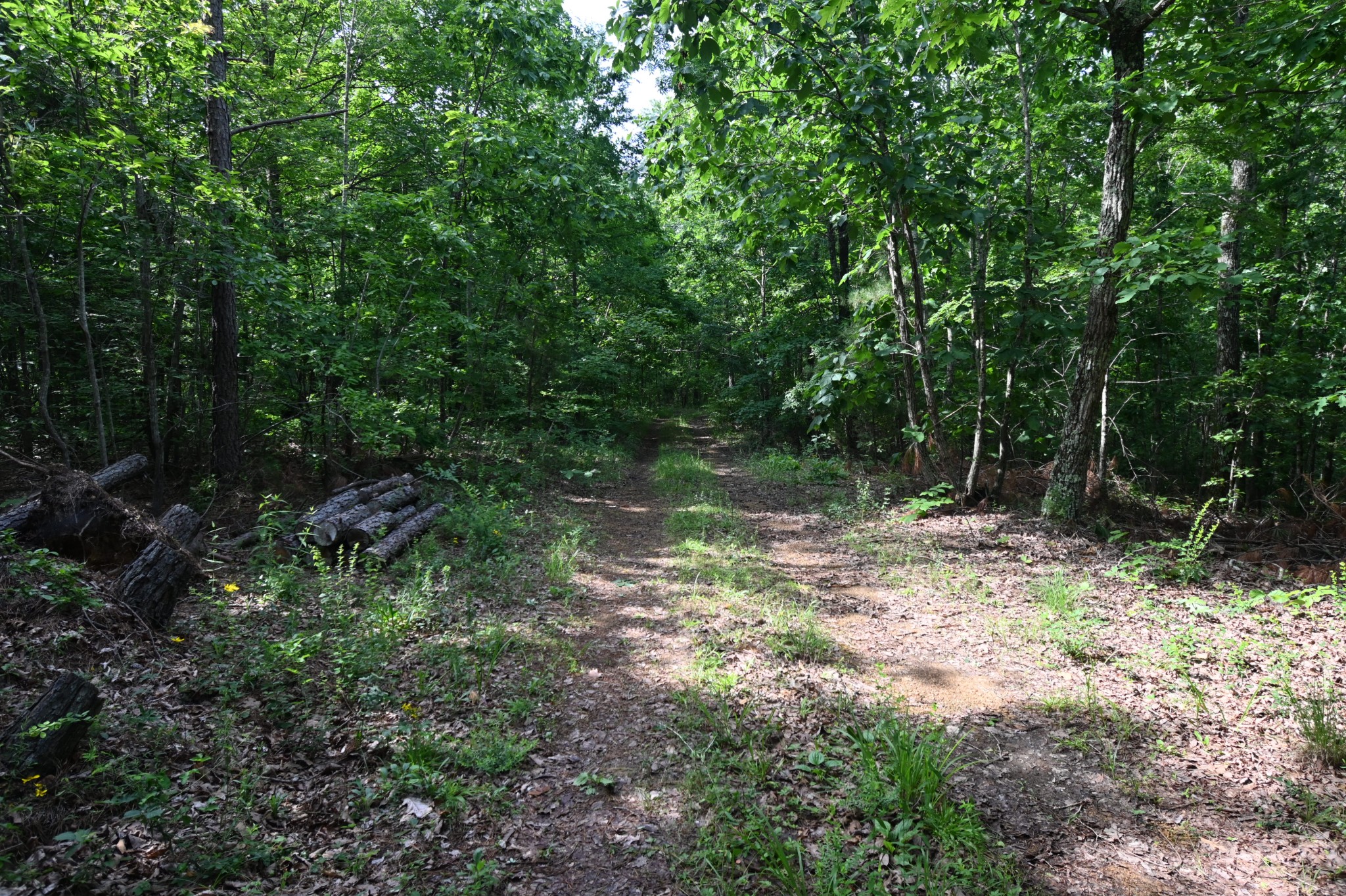 7170 Rockhouse Road Linden, TN 37096 - Photo 23 of 51