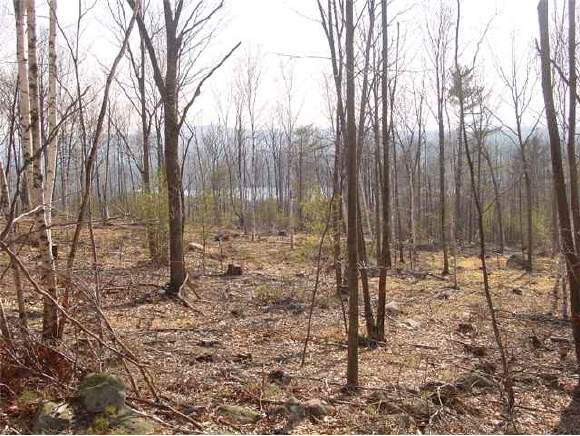 20 Mt Hunger Road Henniker, NH 03242 - Photo 1 of 2 Gallery Image 1