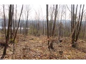 20 Mt Hunger Road Henniker, NH 03242 - Photo 2 of 2 Gallery Image 2