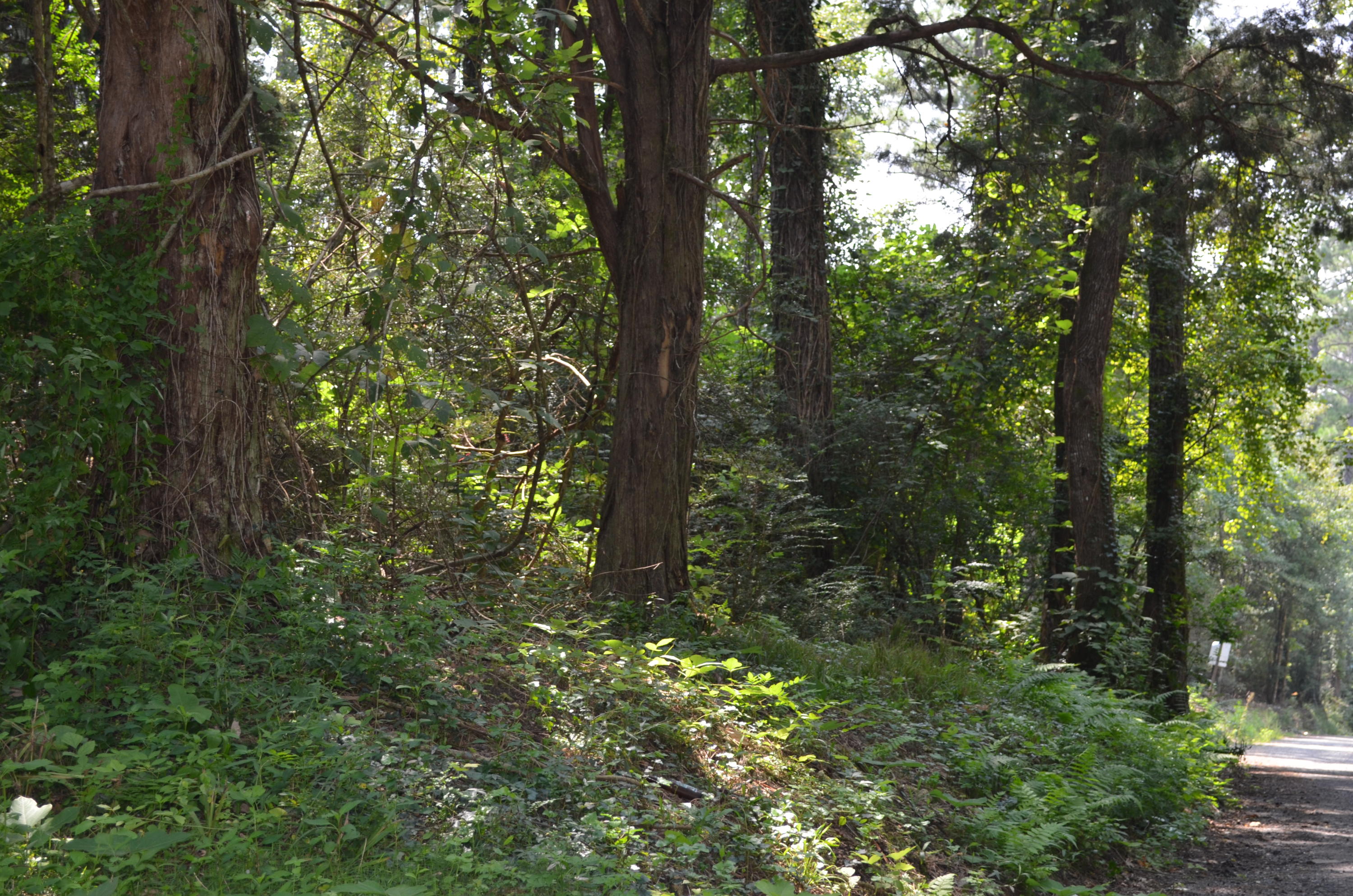 0 Pleasant Ridge Road DeFuniak Springs, FL 32435 - Photo 1 of 3 Gallery Image 1