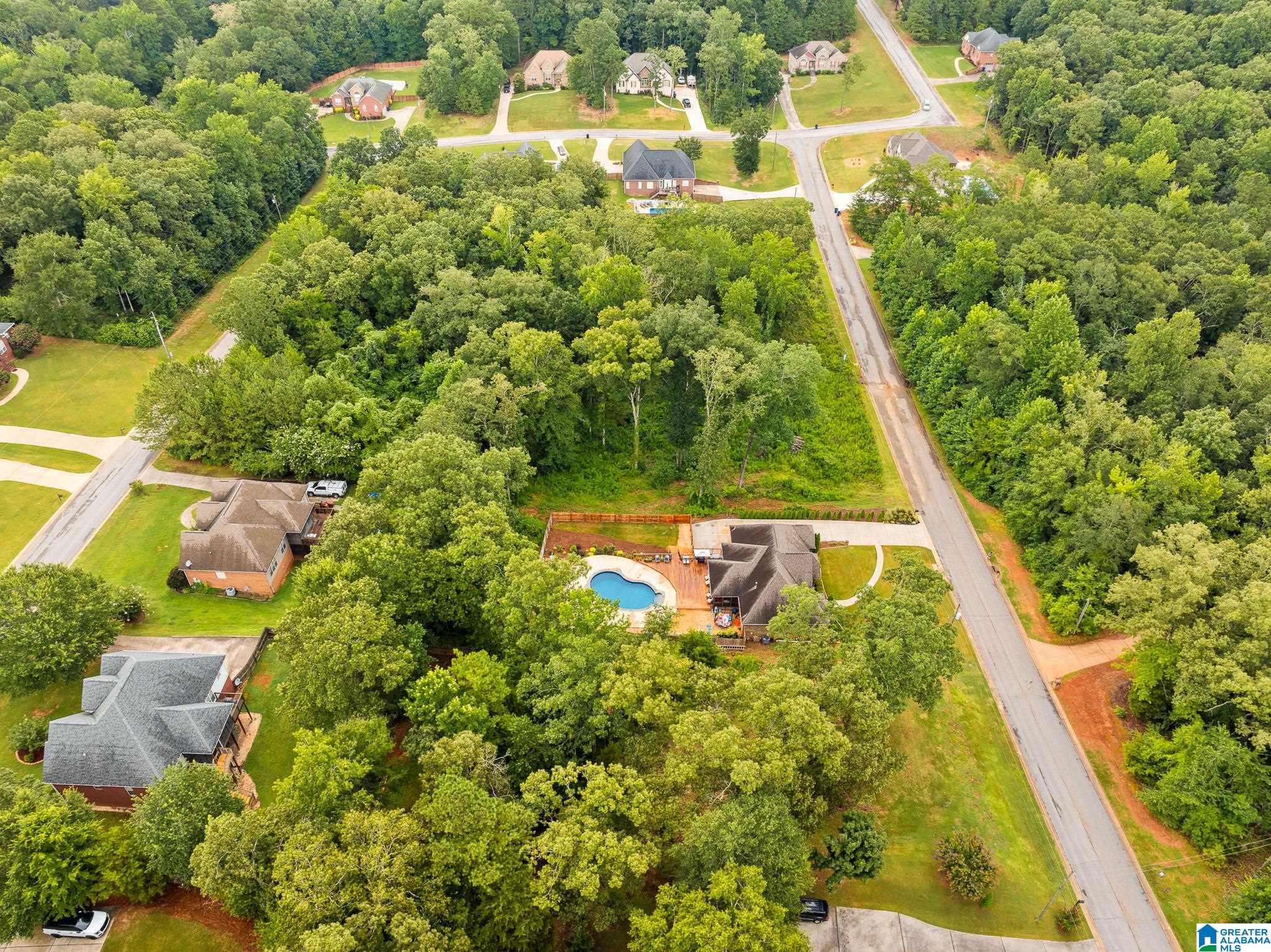 60 Highland View Drive Riverside, AL 35135 - Photo 75 of 77