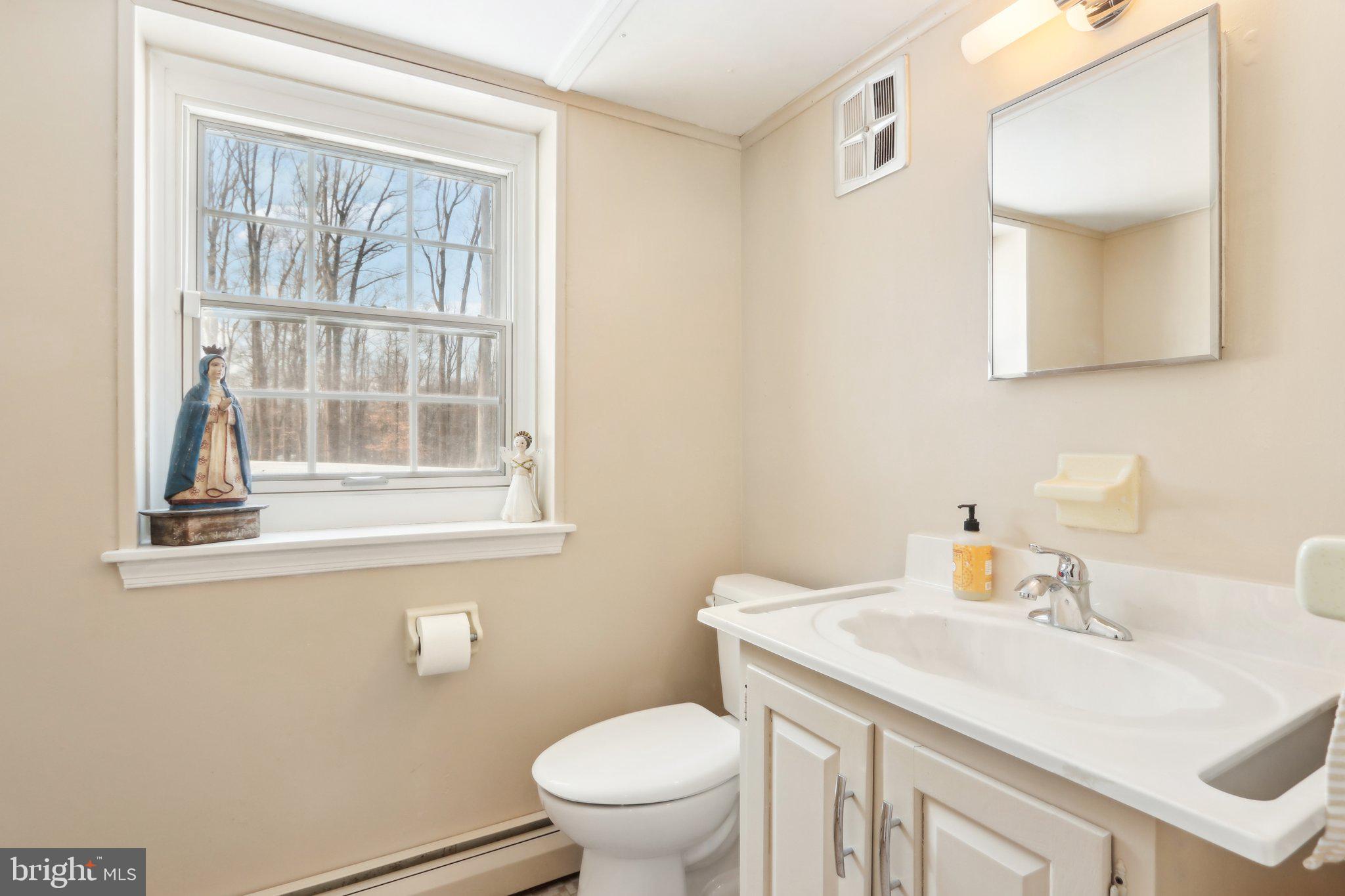 416 Dutton Mill Road Malvern, PA 19355 - Photo 44 of 56 a bathroom with a sink a toilet and a mirror