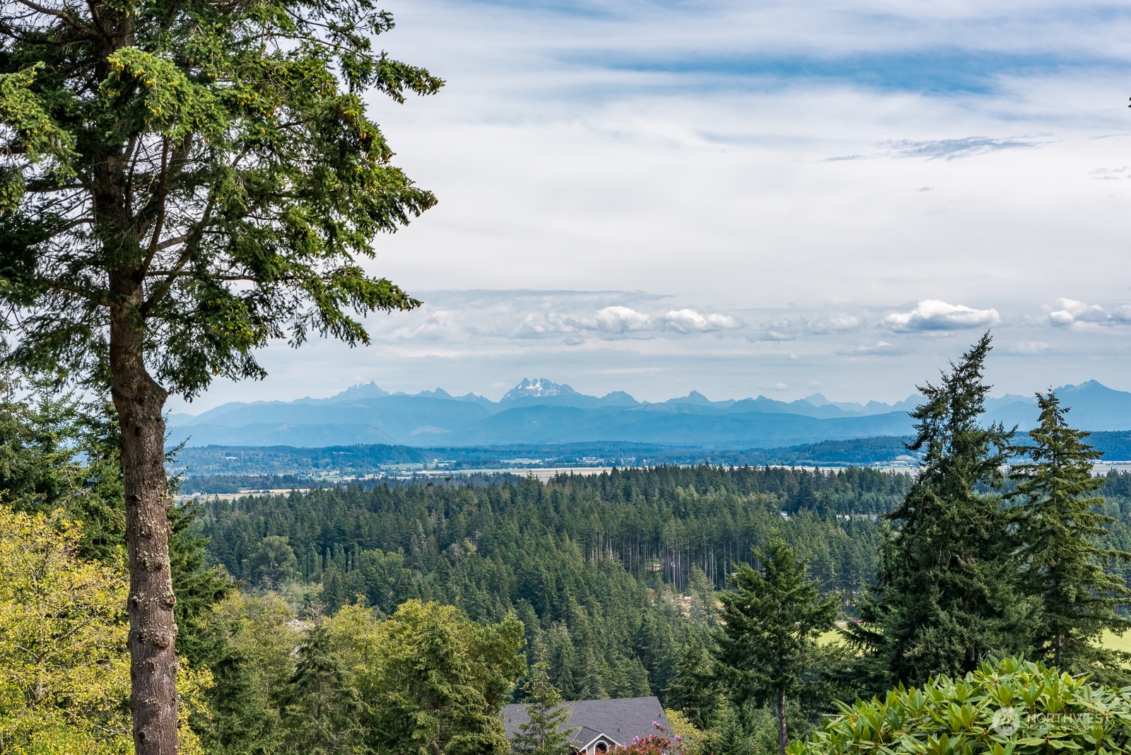 522 Waynes Ridge Circle Camano Island, WA 98282 - Photo 4 of 39 Gallery Image 4