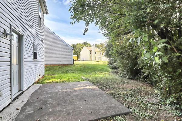 a view of a yard with plants and a large tree