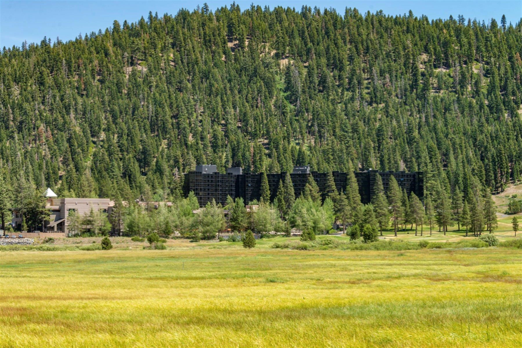 400 Resort Road Olympic Valley, CA 96146 - Photo 25 of 28 a view of a swimming pool with a large trees