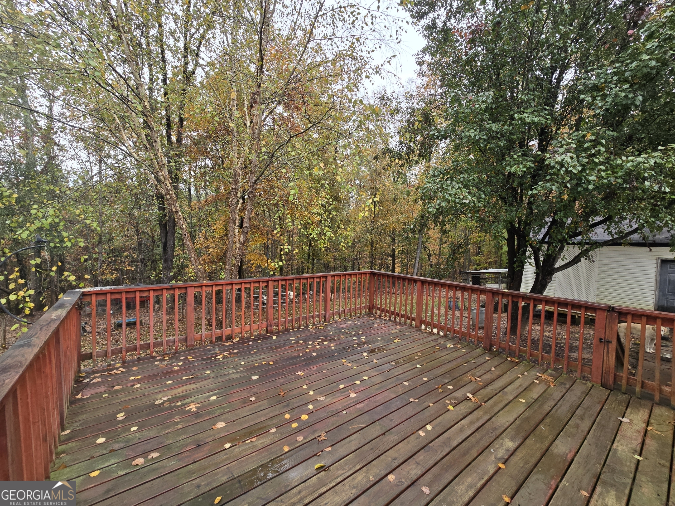 338 Day Street Molena, GA 30258 - Photo 8 of 65