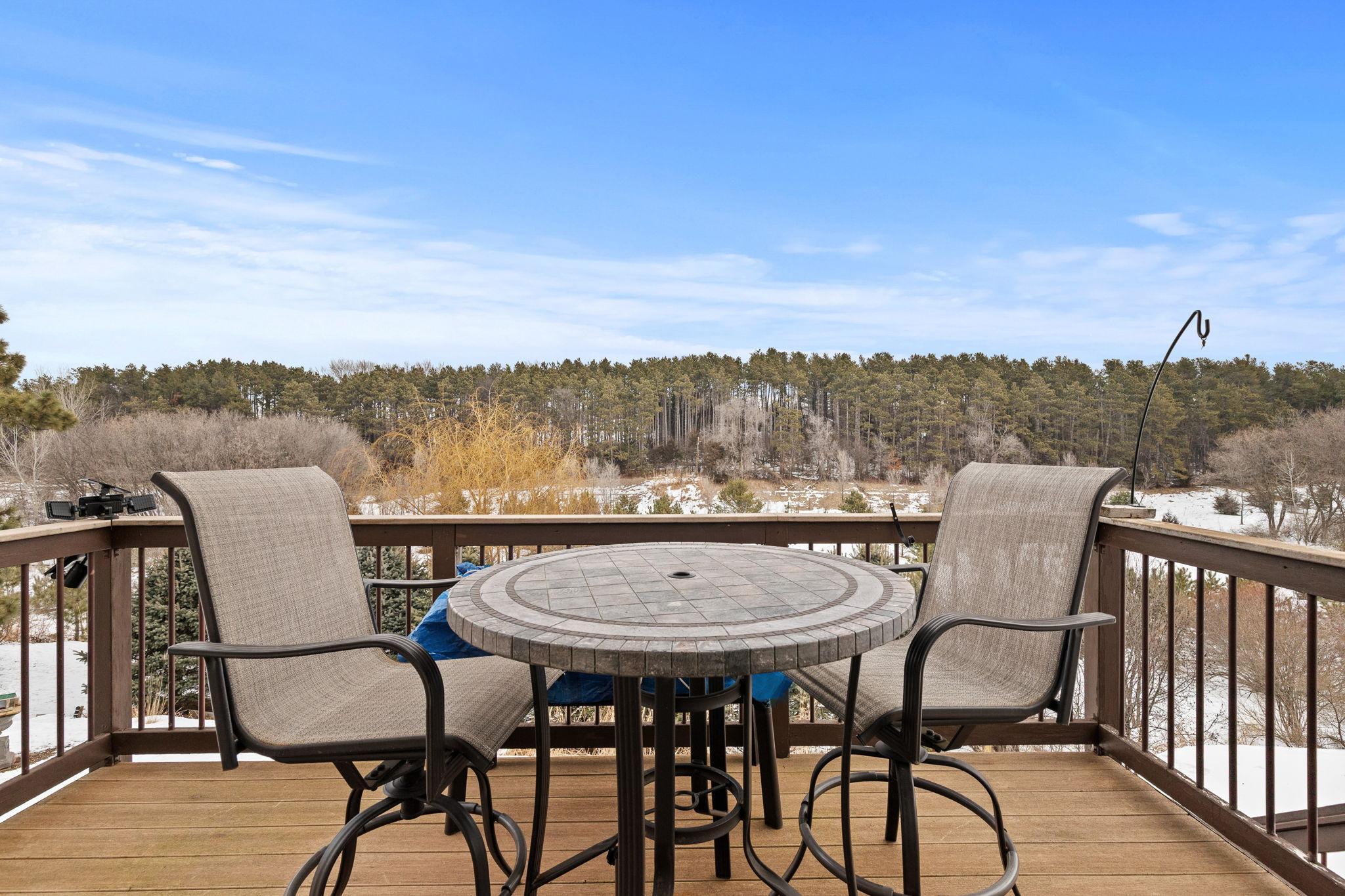 43 Canary Way Hudson, WI 54016 - Photo 27 of 32