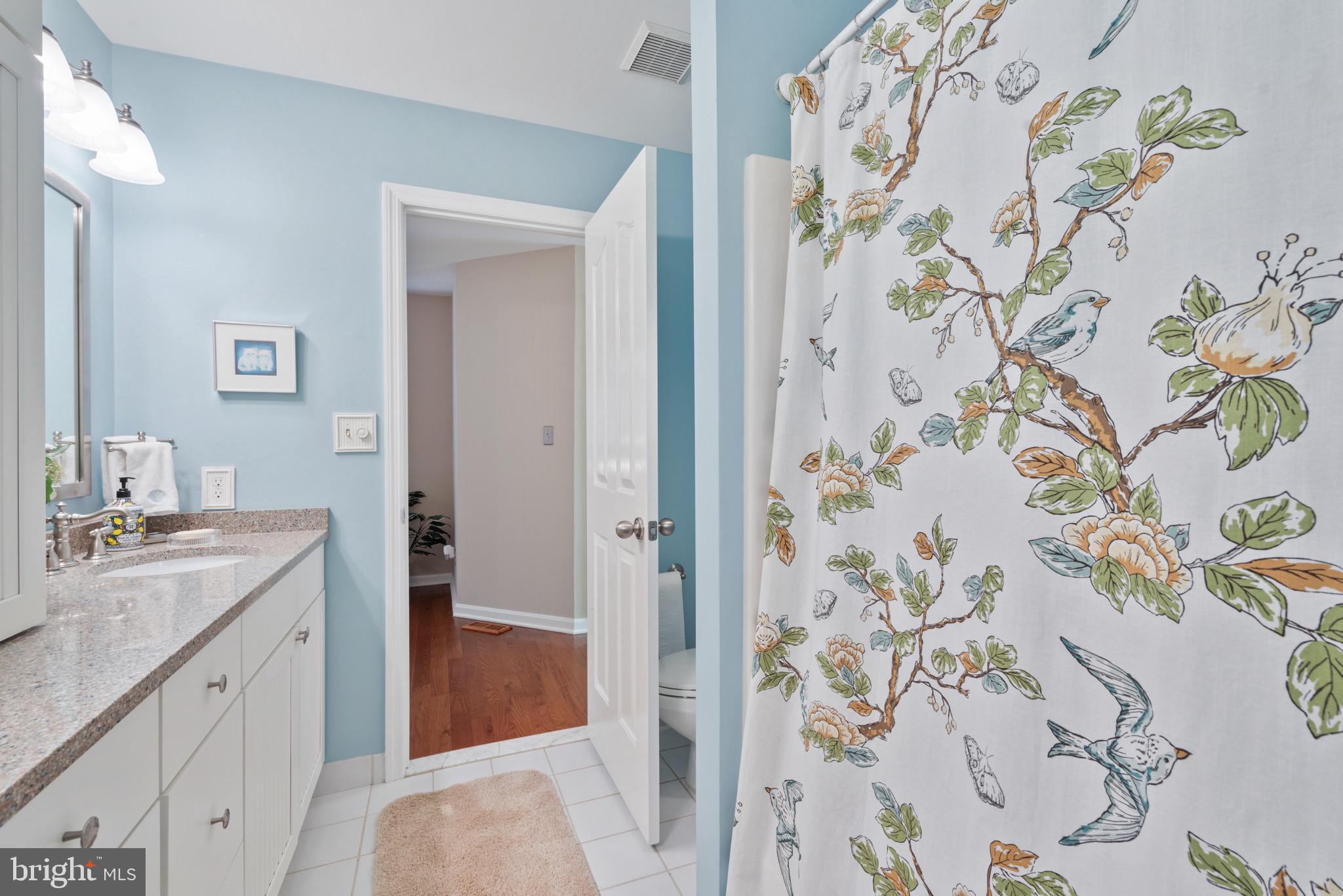 6212 Devon Drive Columbia, MD 21044 - Photo 34 of 69 Bathroom