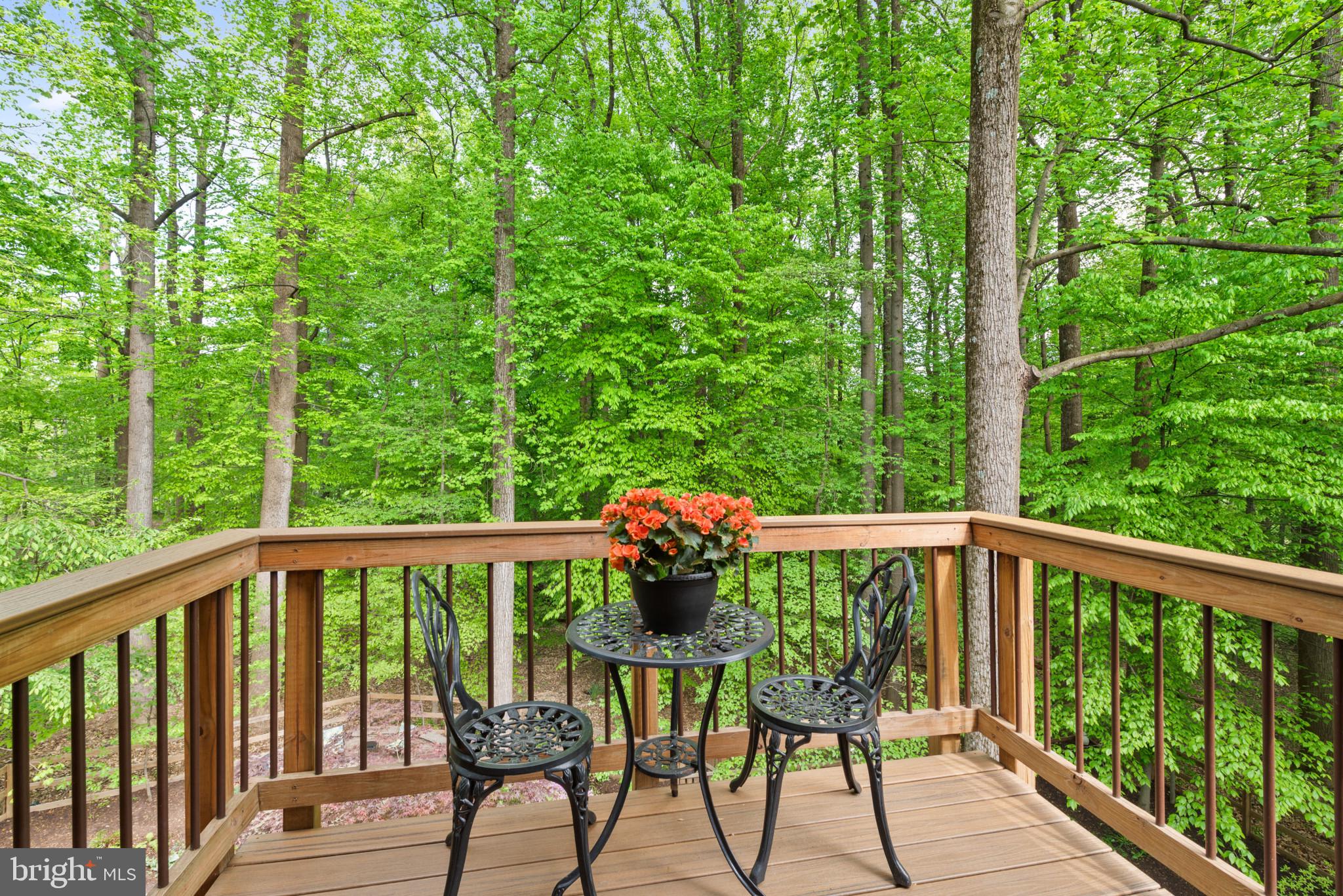 6212 Devon Drive Columbia, MD 21044 - Photo 55 of 69 Deck