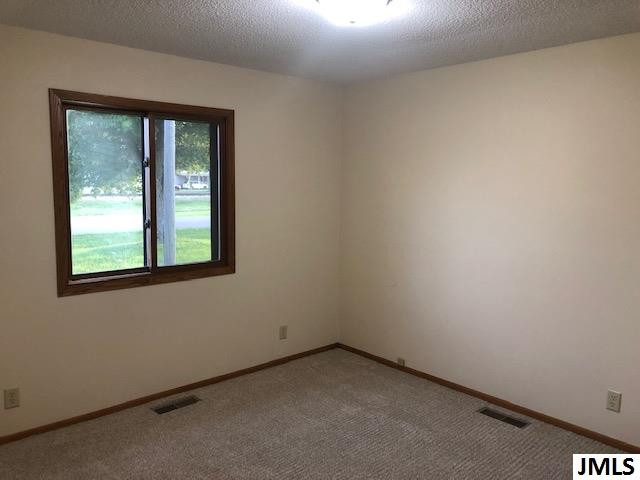 638 Beagle Road Blissfield, MI 49228 - Photo 11 of 18 Photo 11