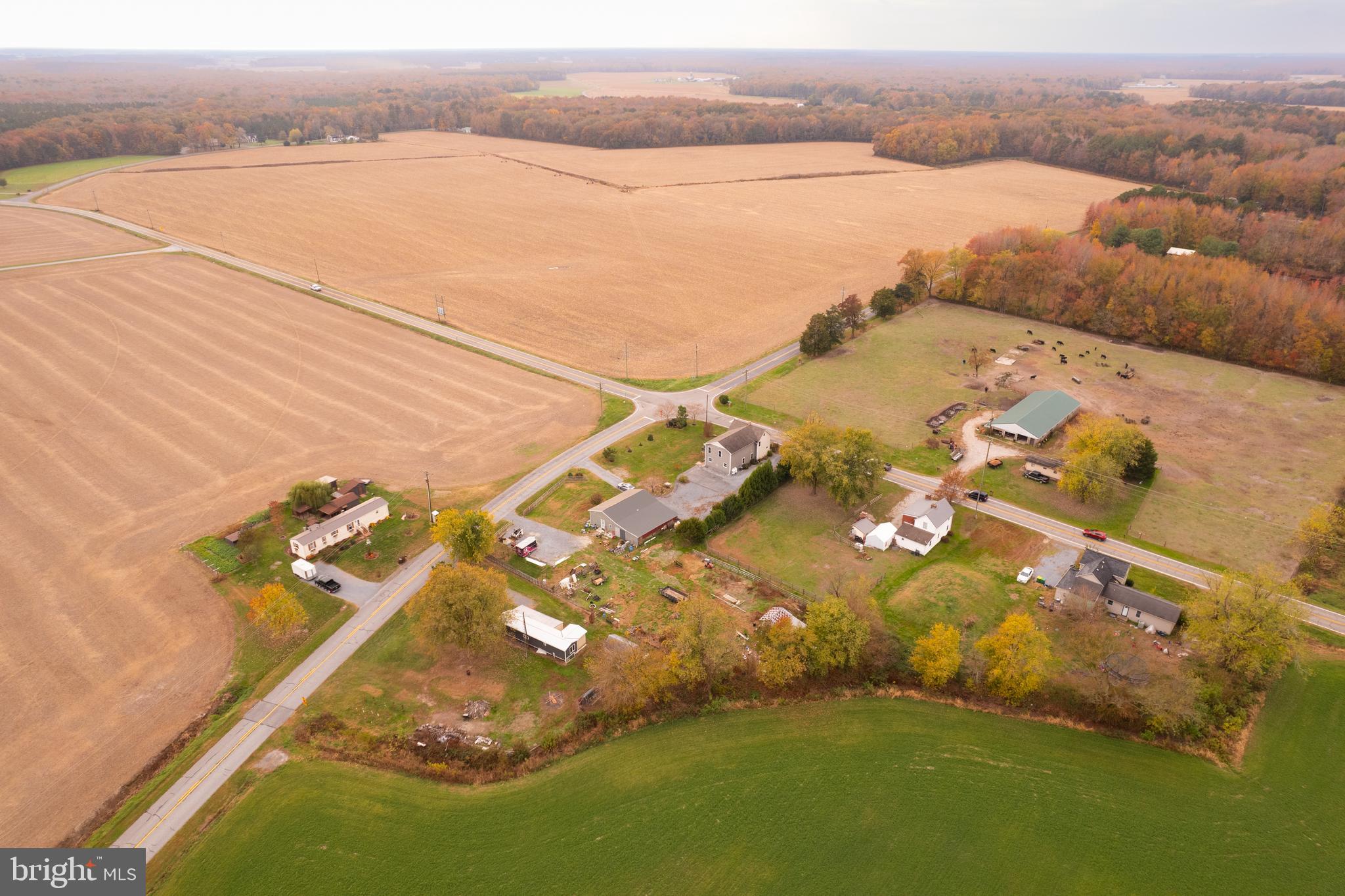 3638 Hopkins Cemetery Road Felton, DE 19943 - Photo 39 of 43