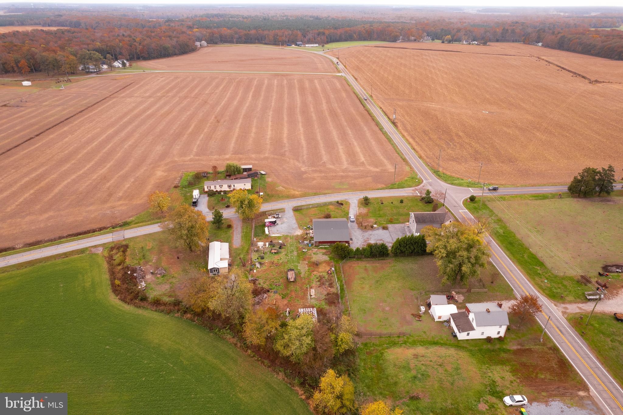 3638 Hopkins Cemetery Road Felton, DE 19943 - Photo 41 of 43