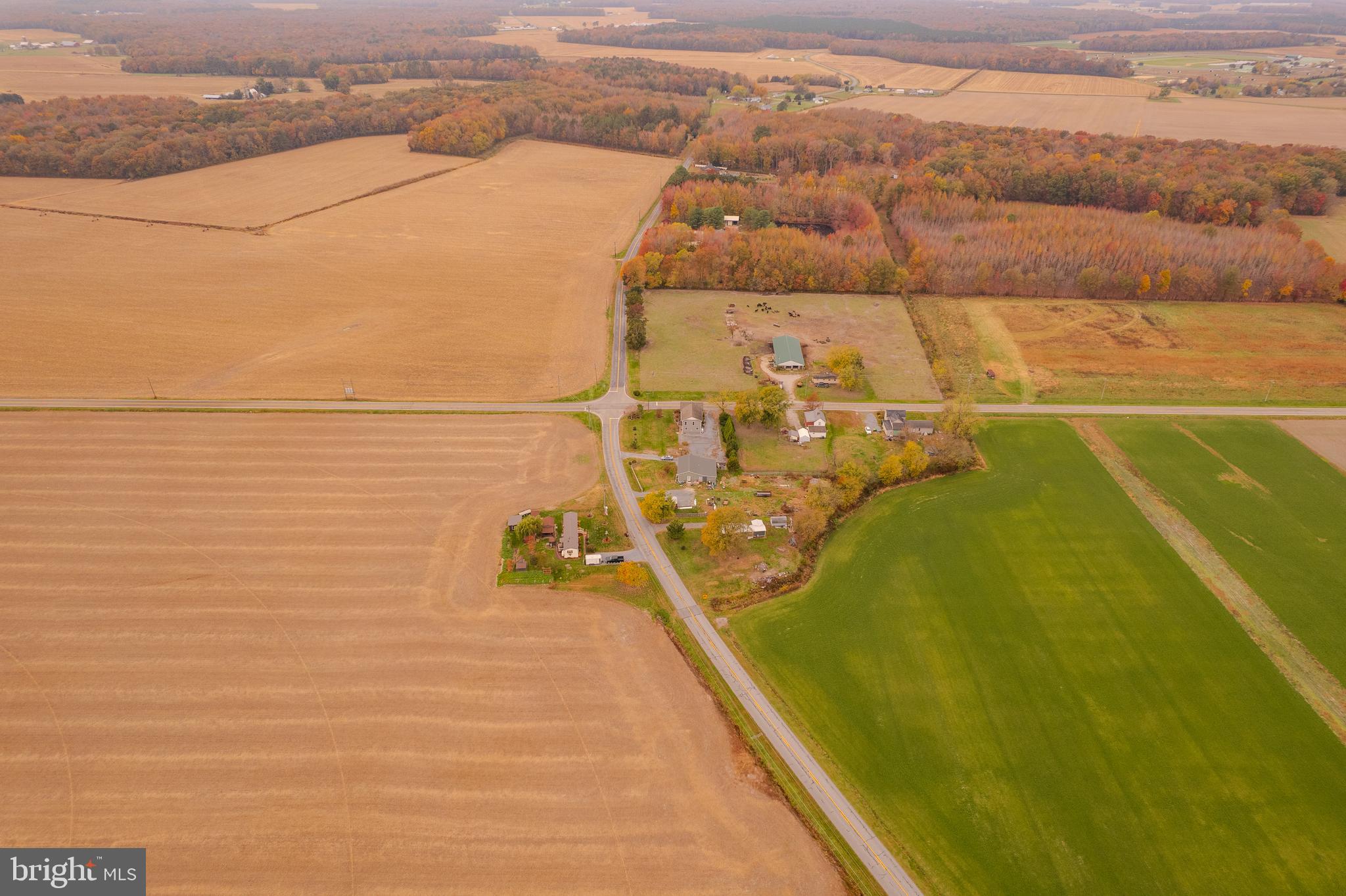 3638 Hopkins Cemetery Road Felton, DE 19943 - Photo 42 of 43