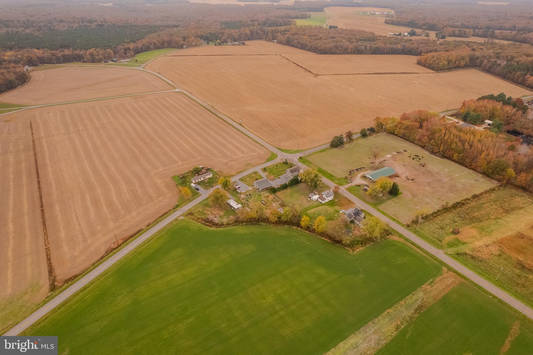 3638 Hopkins Cemetery Road Felton, DE 19943 - Photo 43 of 43