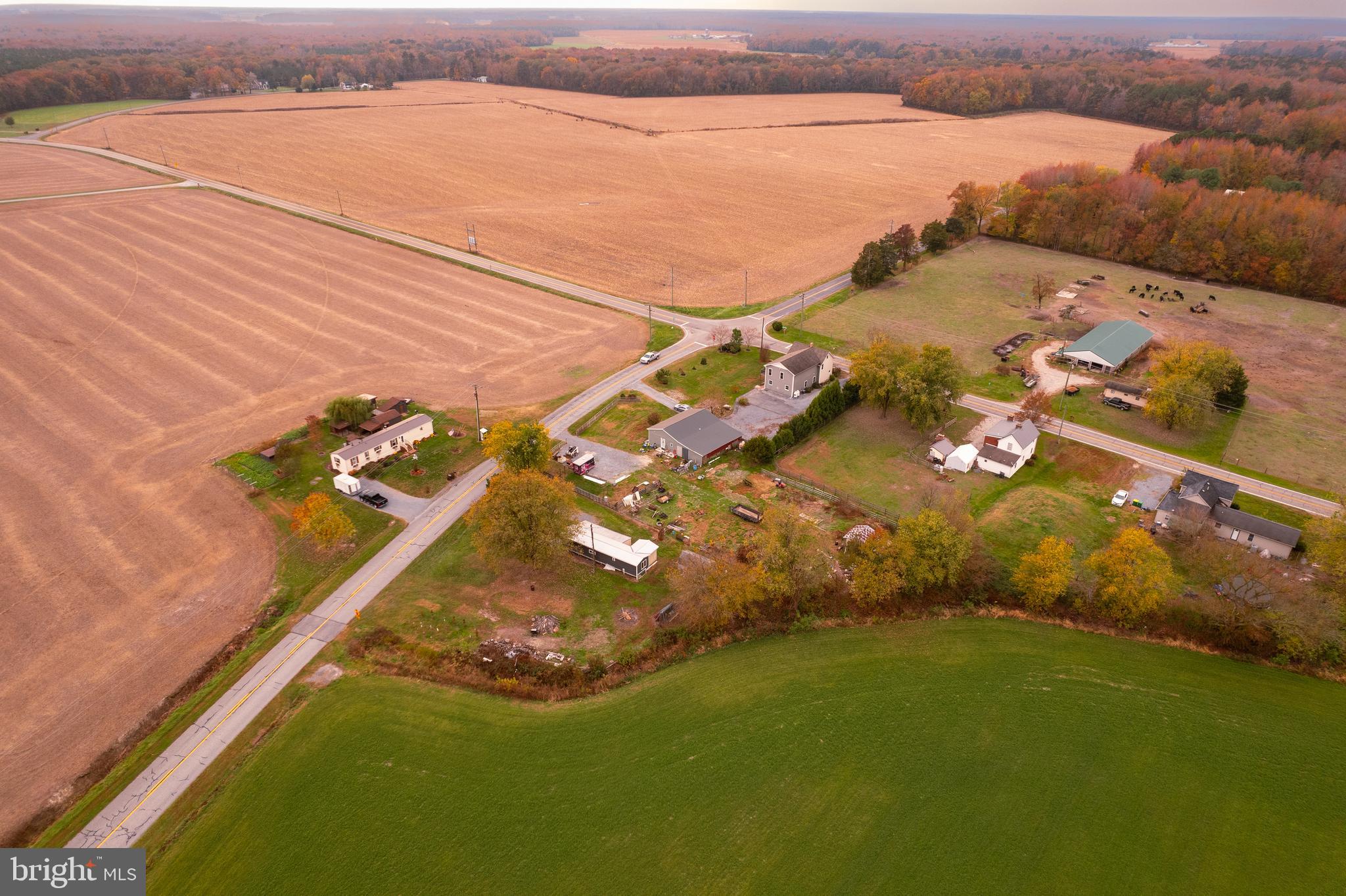 3638 Hopkins Cemetery Road Felton, DE 19943 - Photo 8 of 43