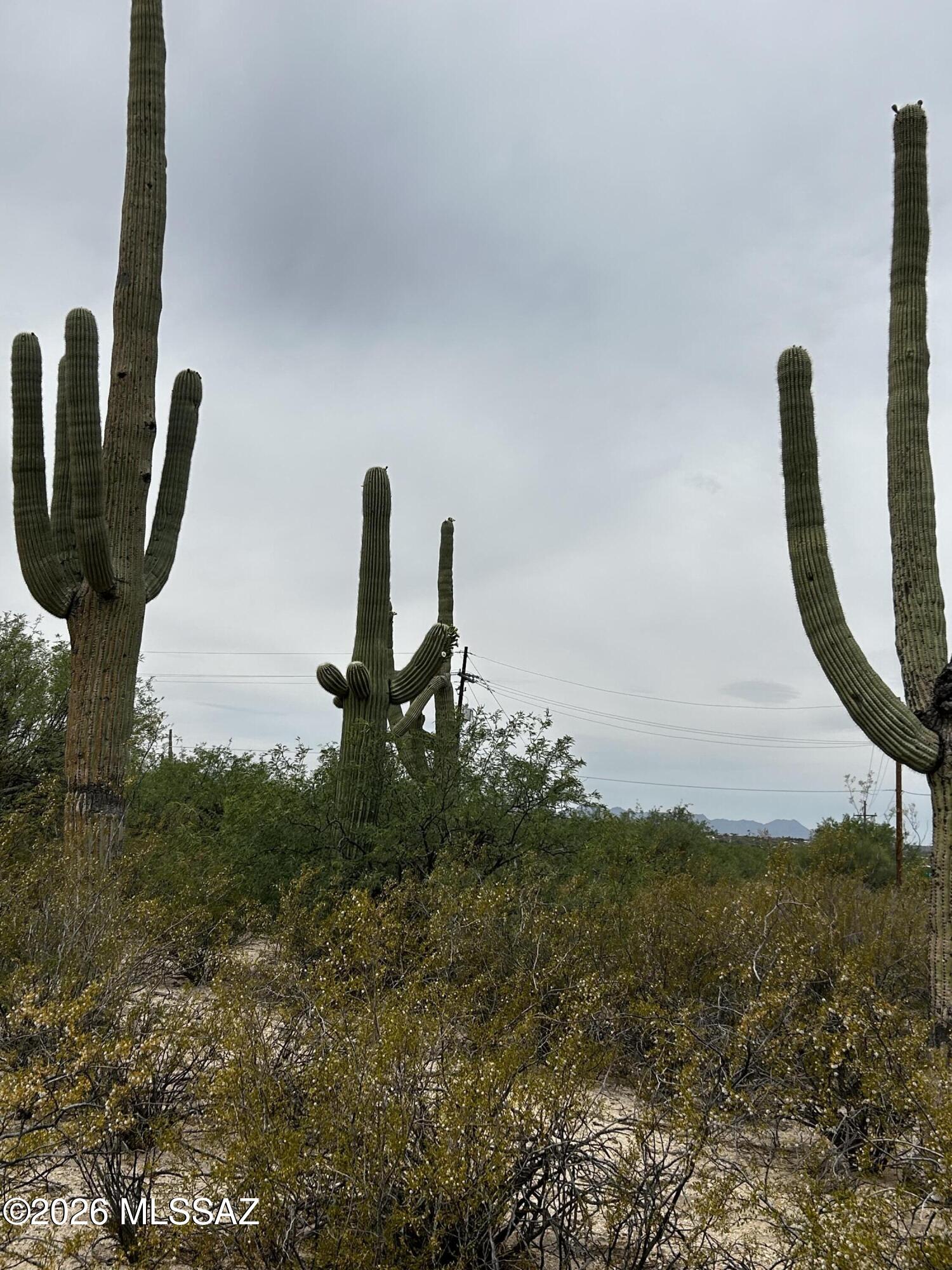 East Roger Road, Unit 46 Tucson, AZ 85749 - Photo 18 of 38