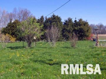 2578 Orchard Road Sesser, IL 62884 - Photo 5 of 7