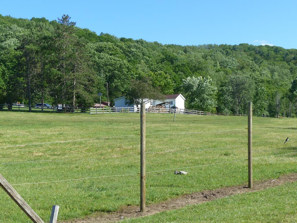 5765 Tucker Road Bath, NY 14810 - Photo 1 of 62 Gallery Image 1