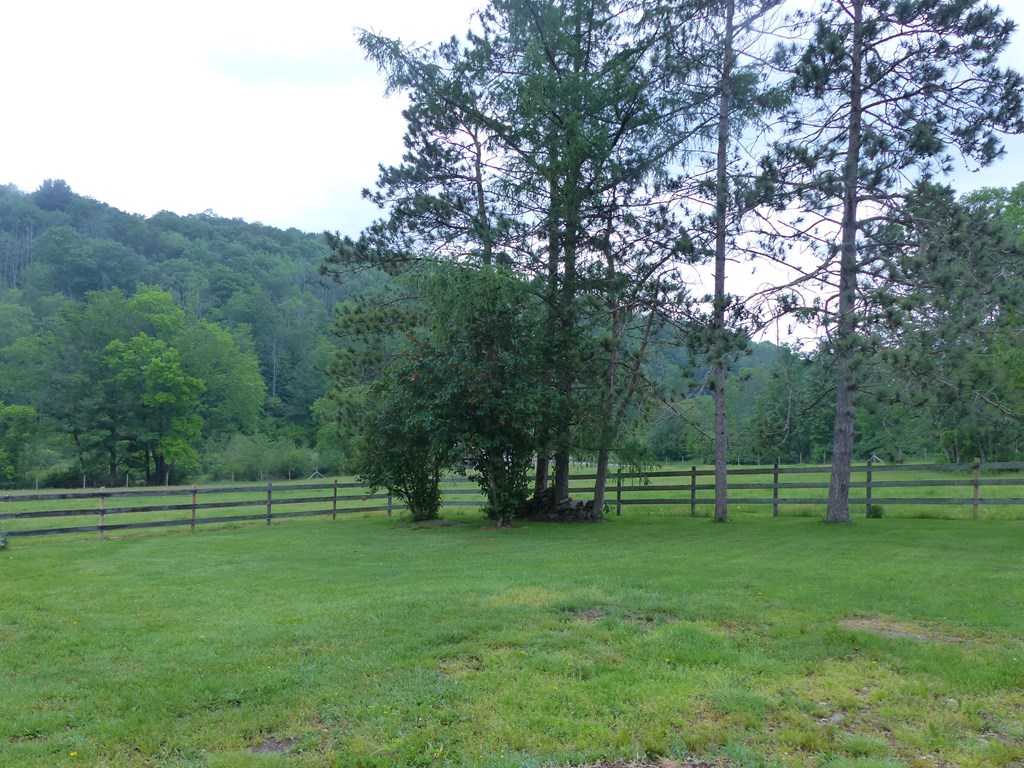 5765 Tucker Road Bath, NY 14810 - Photo 3 of 62 Gallery Image 3