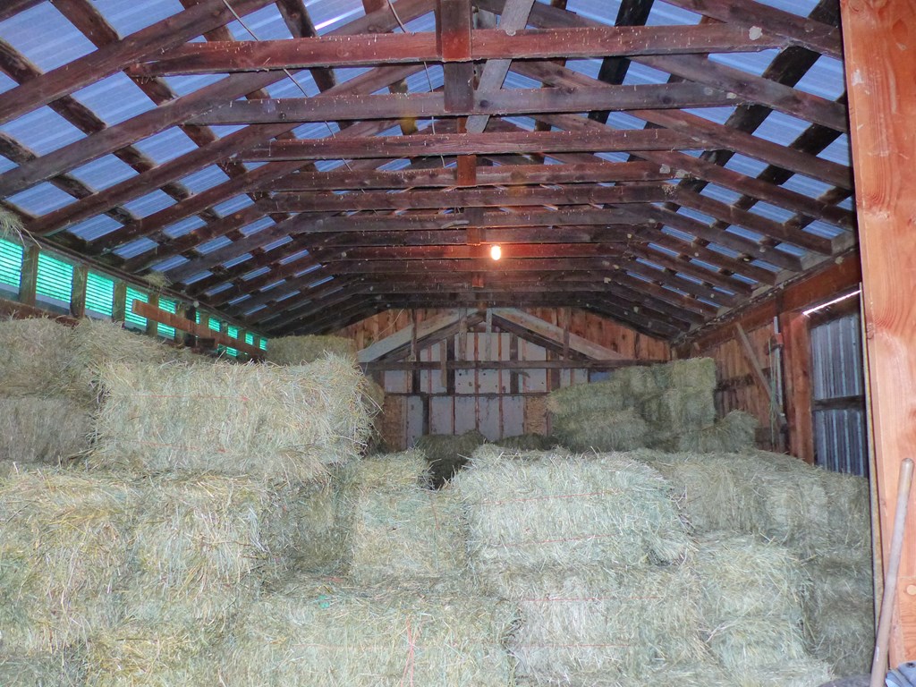 5765 Tucker Road Bath, NY 14810 - Photo 42 of 62 Gallery Image 42