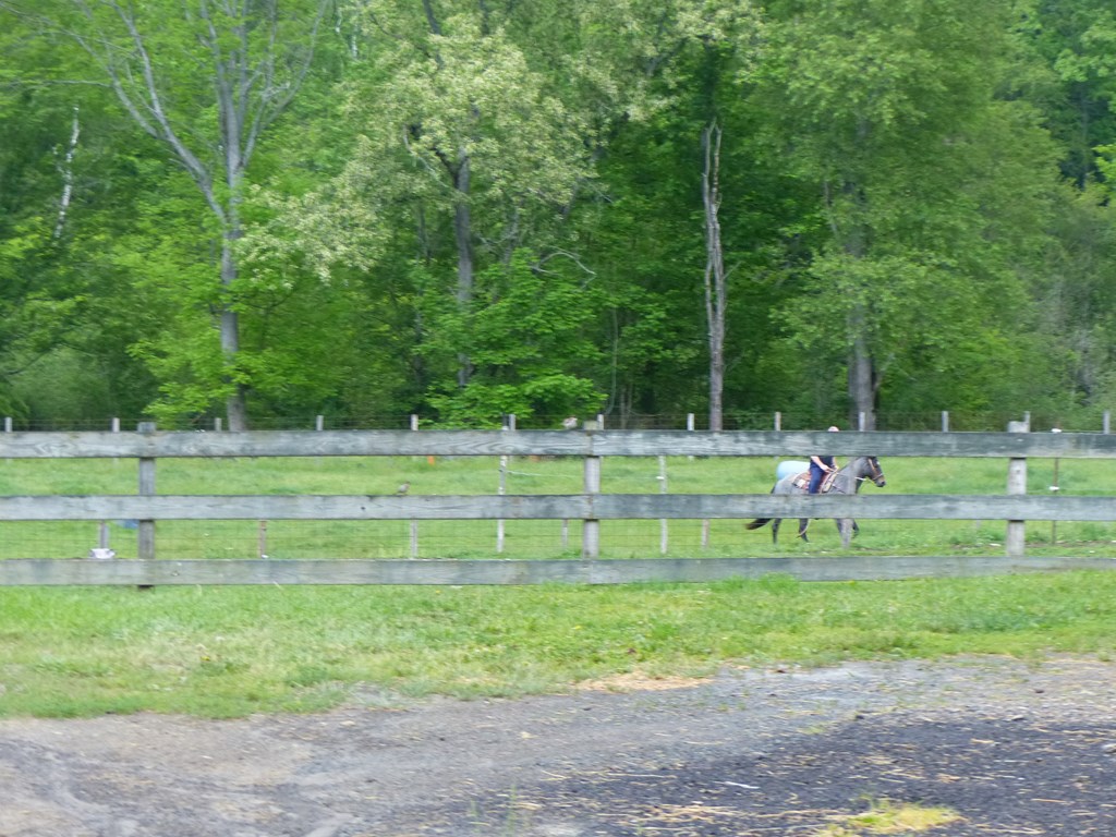 5765 Tucker Road Bath, NY 14810 - Photo 45 of 62 Gallery Image 45