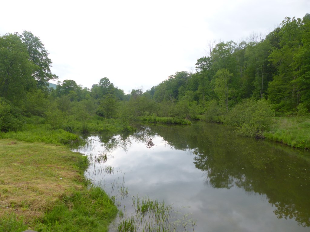 5765 Tucker Road Bath, NY 14810 - Photo 48 of 62 Gallery Image 48