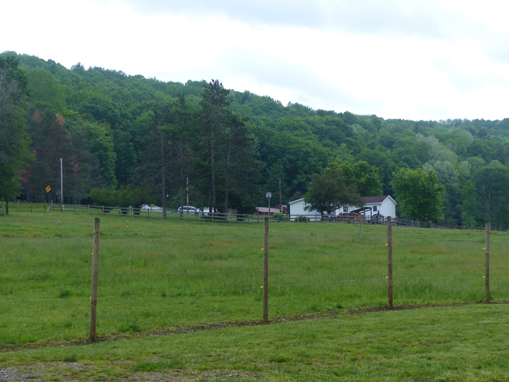 5765 Tucker Road Bath, NY 14810 - Photo 49 of 62 Gallery Image 49