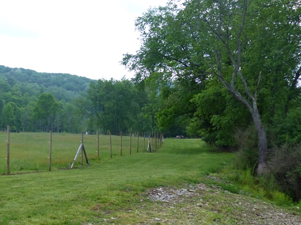 5765 Tucker Road Bath, NY 14810 - Photo 50 of 62 Gallery Image 50