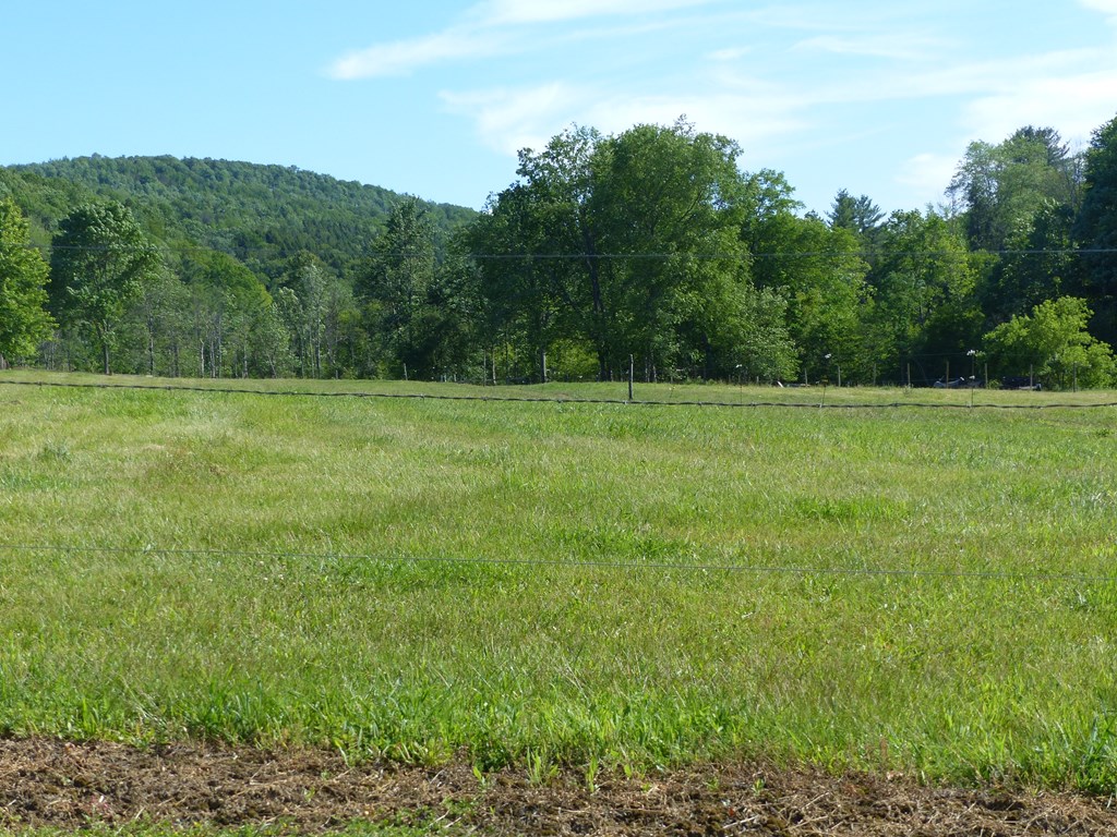 5765 Tucker Road Bath, NY 14810 - Photo 54 of 62 Gallery Image 54