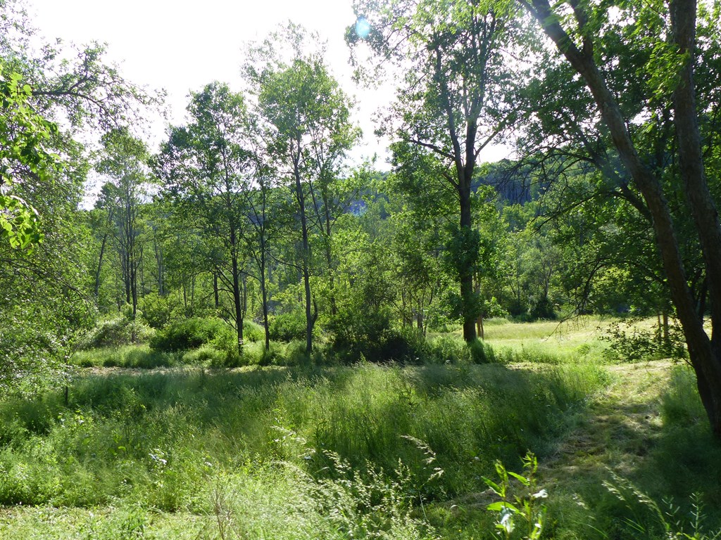 5765 Tucker Road Bath, NY 14810 - Photo 58 of 62 Gallery Image 58