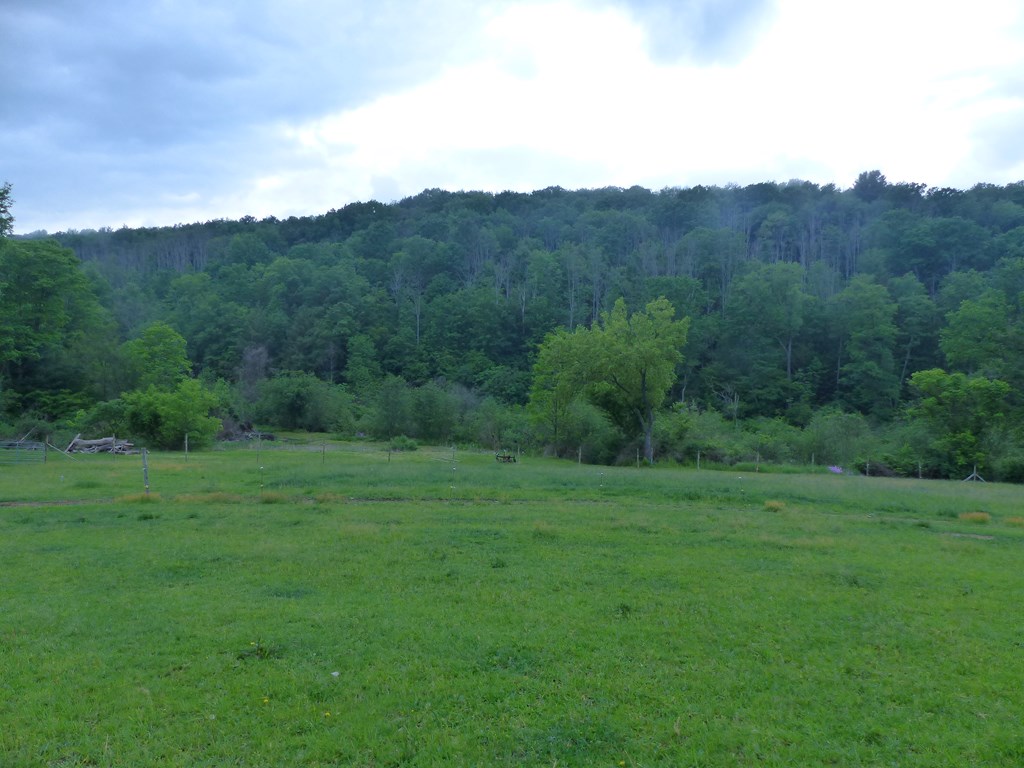 5765 Tucker Road Bath, NY 14810 - Photo 8 of 62 Gallery Image 8