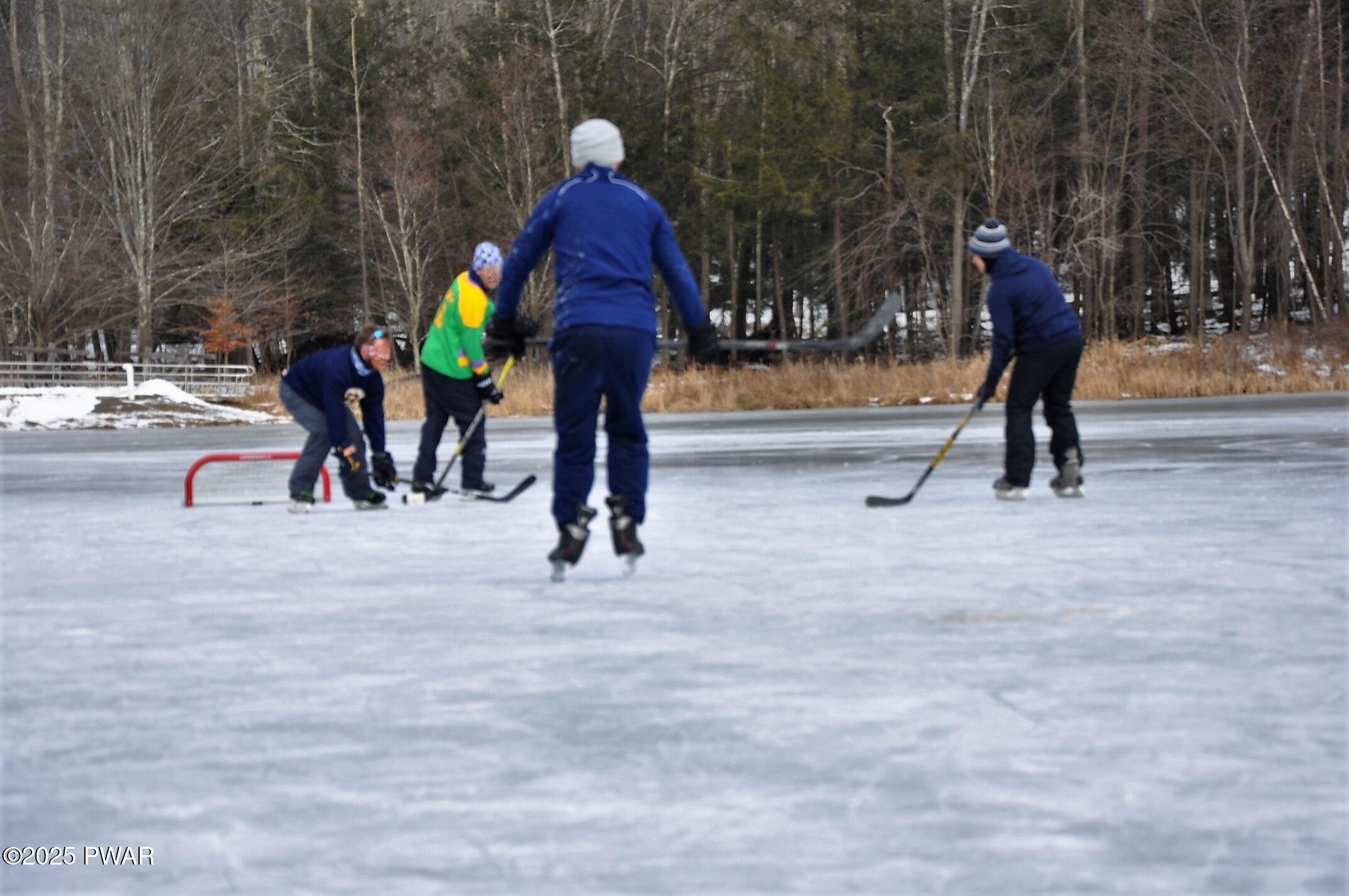 1014 Sundew Road Lake Ariel, PA 18436 - Photo 59 of 63 15 Ice hockey