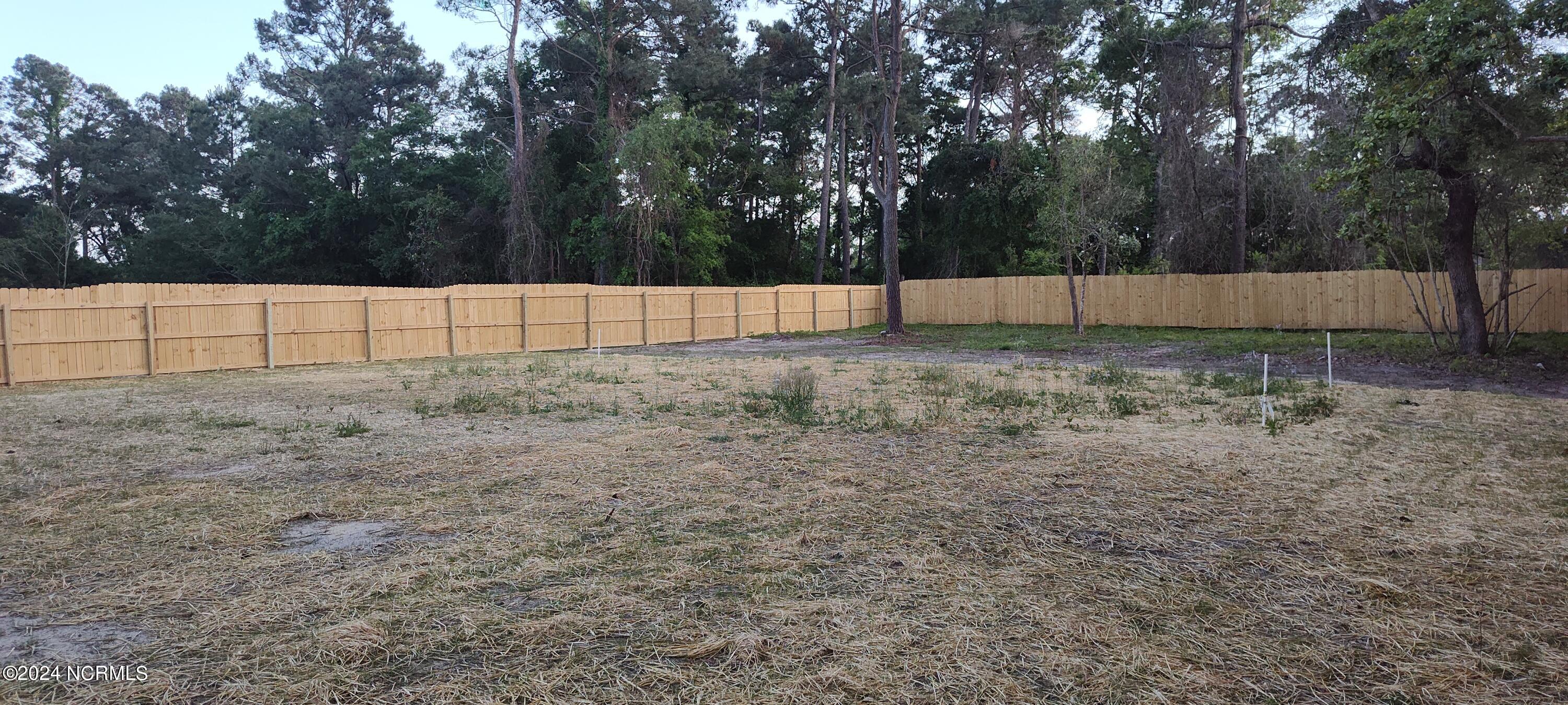 104 Old Farm Road Hampstead, NC 28443 - Photo 14 of 14 Large Yard
