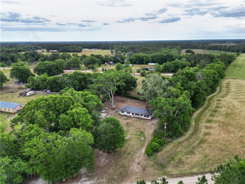 569 Revis Blocker Road Glennville, GA 30427 - Photo 38 of 43