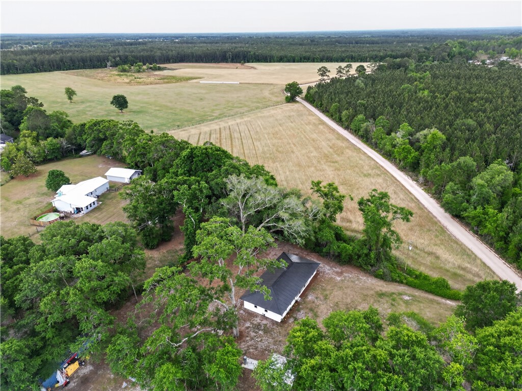 569 Revis Blocker Road Glennville, GA 30427 - Photo 39 of 43
