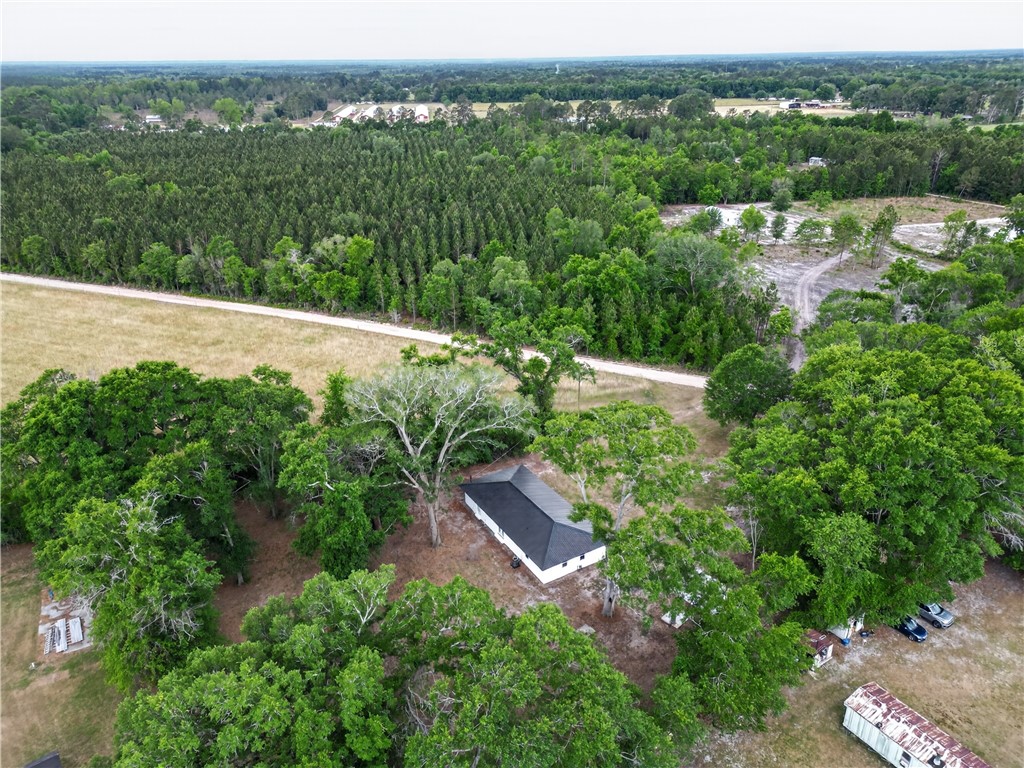 569 Revis Blocker Road Glennville, GA 30427 - Photo 40 of 43