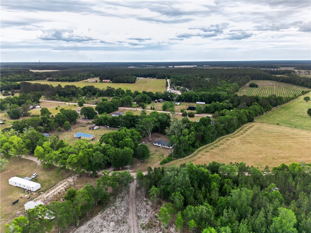 569 Revis Blocker Road Glennville, GA 30427 - Photo 42 of 43