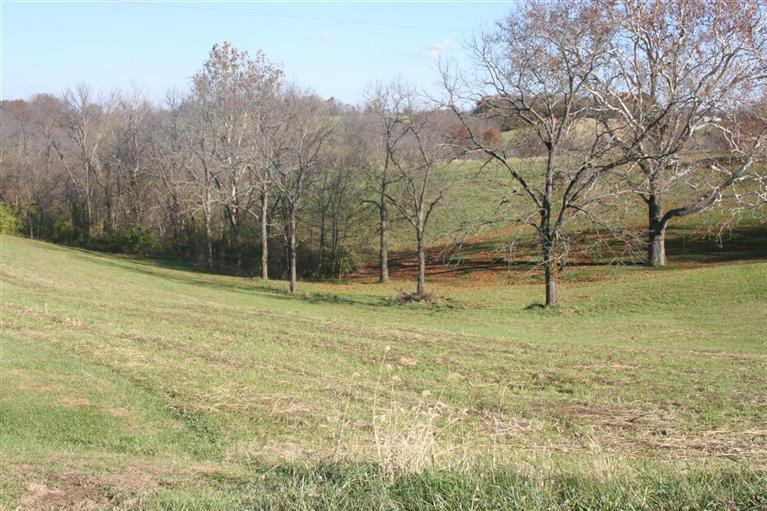 14789 Stephenson Road Morning View, KY 41063 - Photo 8 of 12
