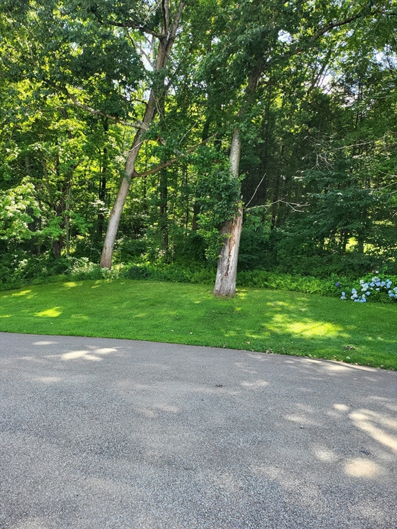 17 Southbridge Road, Unit 4 Dudley, MA 01571 - Photo 7 of 19 Gallery Image 7