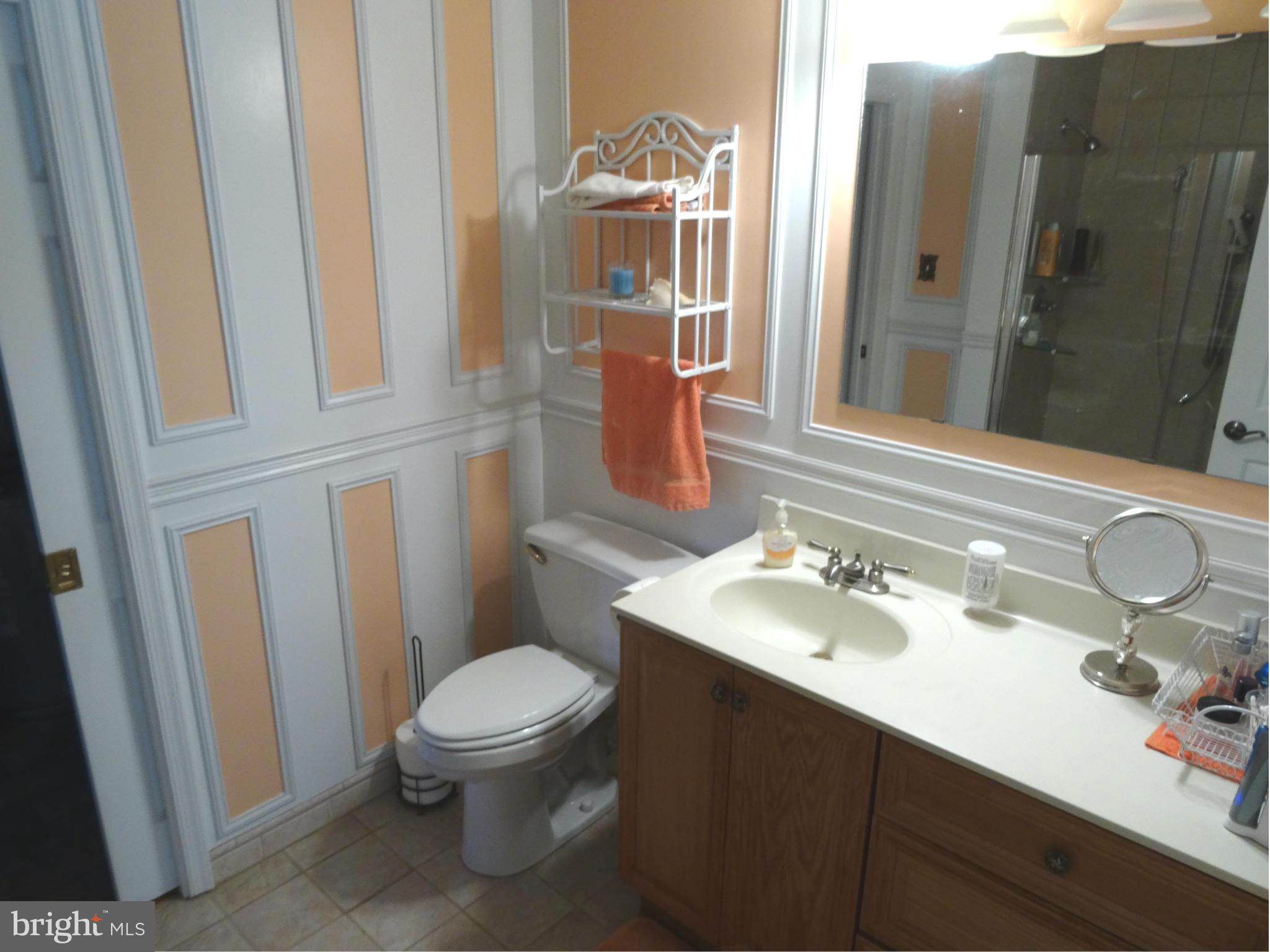 8506 Sandy Plains Road Baltimore, MD 21222 - Photo 14 of 30 Bath (Master)