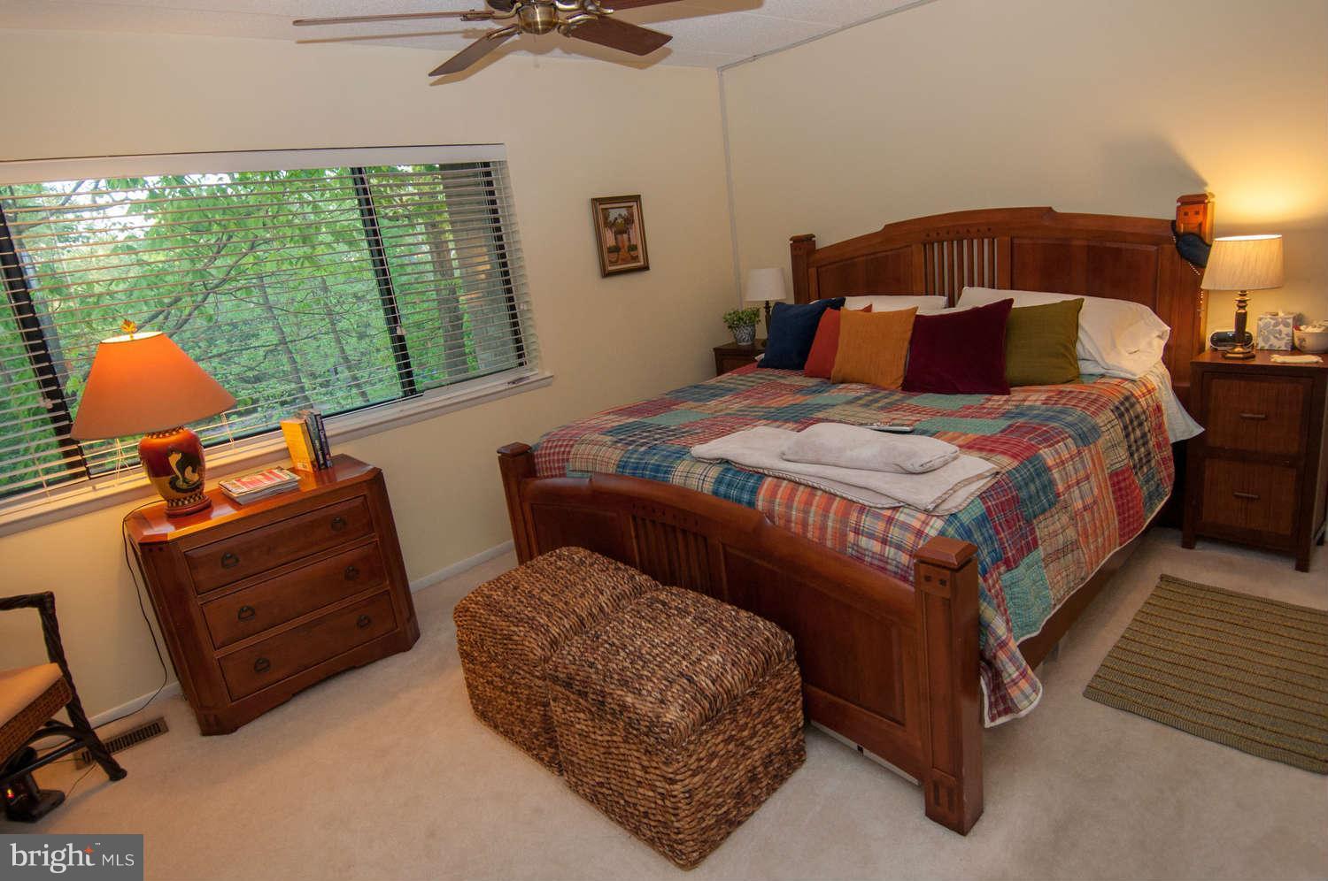 11220 Beaver Trail Court, Unit 7 Reston, VA 20191 - Photo 11 of 14 Bath (Master)