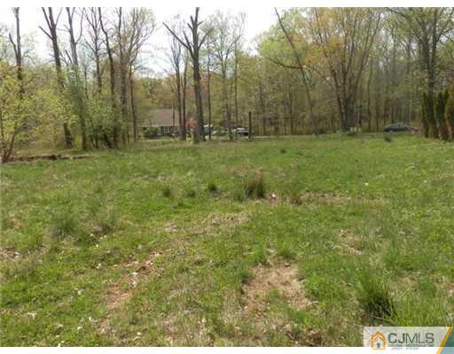 53 Haypress Road Cranbury, NJ 08512 - Photo 5 of 5 a view of a green field with trees in the background