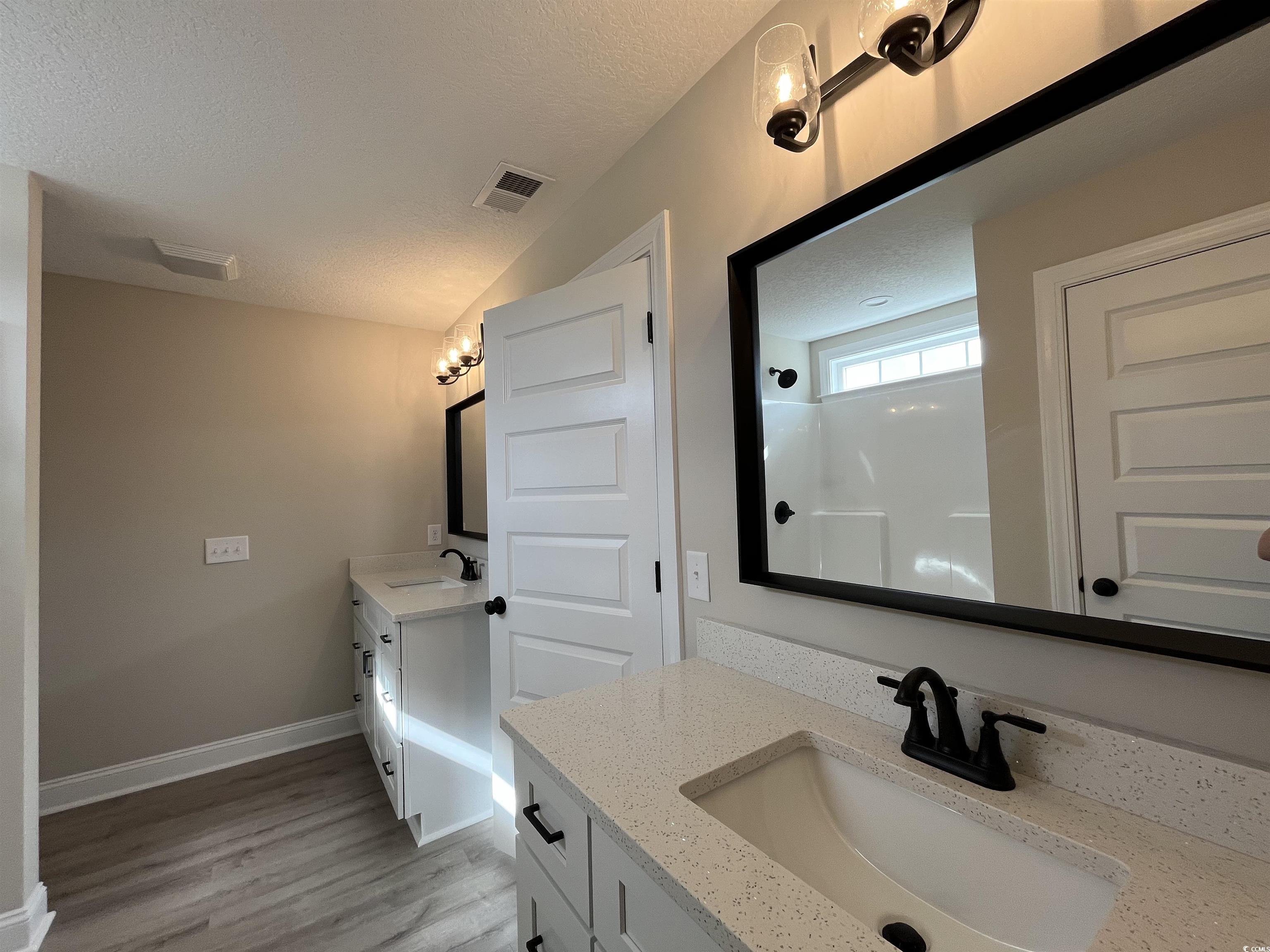 8229 Kerl Road Aynor, SC 29511 - Photo 10 of 19 Bathroom with a shower, wood-type flooring, vanity