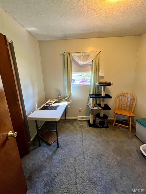154 Terrace Street Bethalto, IL 62010 - Photo 11 of 13 Gallery Image 11