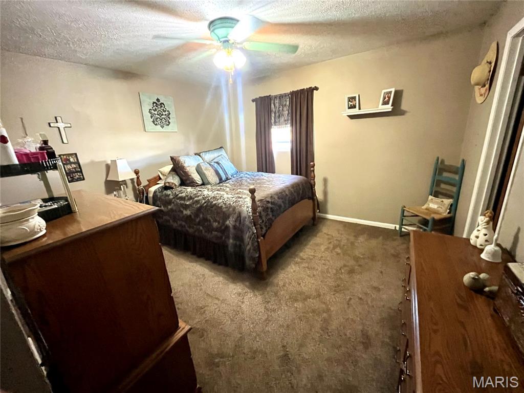 154 Terrace Street Bethalto, IL 62010 - Photo 5 of 13 Gallery Image 5
